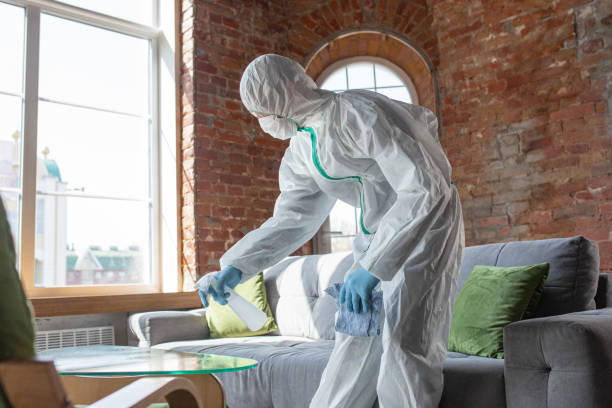 Best Emergency Mold Remediation in Treasure Lake, PA